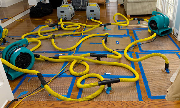 Professional Storm Water Damage Restoration technician working in Fayette, AL